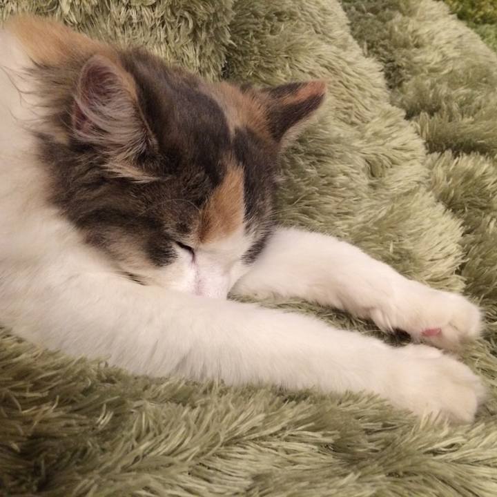 149daf92 0f34 41bb a5fa 132d4e43f722