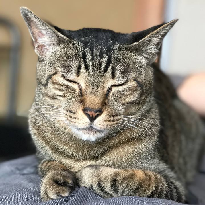 149dca19 c497 4924 92cc 8d24628d4b56