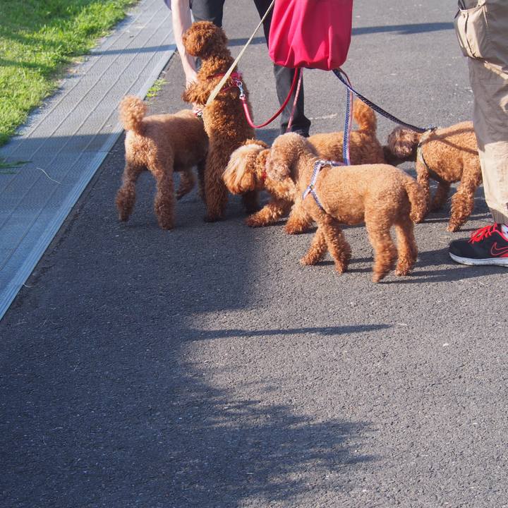 149dd196 9718 4c04 bb9d 5babb9eac116