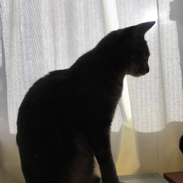 149e9c83 aaf0 494e 8e66 0f9630aa9aa2