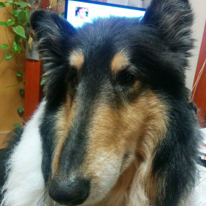 149f113d b240 4059 8faa 87ac746ec86d