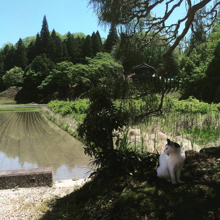 149f1ccd eec7 4056 98b3 ee8bffbd5026