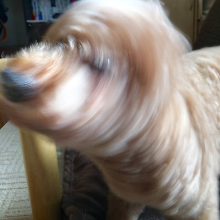 149f275d 1b4b 41d6 b825 ed721c07d9fc