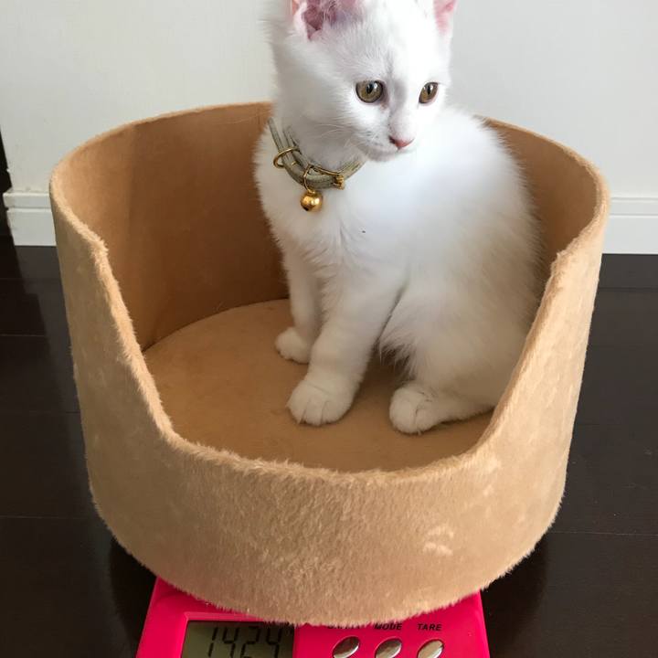 149fb73d 90e0 4057 bb3a 9461f92c62cc