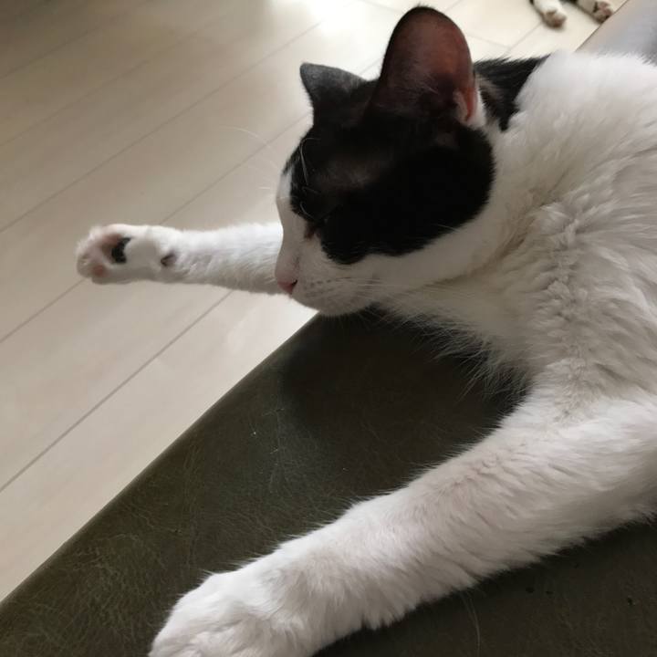 149fe26b f136 48b0 88f0 5a0be7183c73