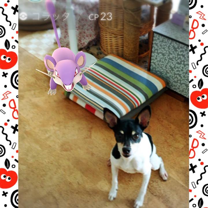 14a00693 dc2f 4eae bd0e bf7c4caa020b