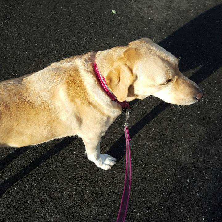 14a02209 2c4a 413c a3ac 7be880f764f9