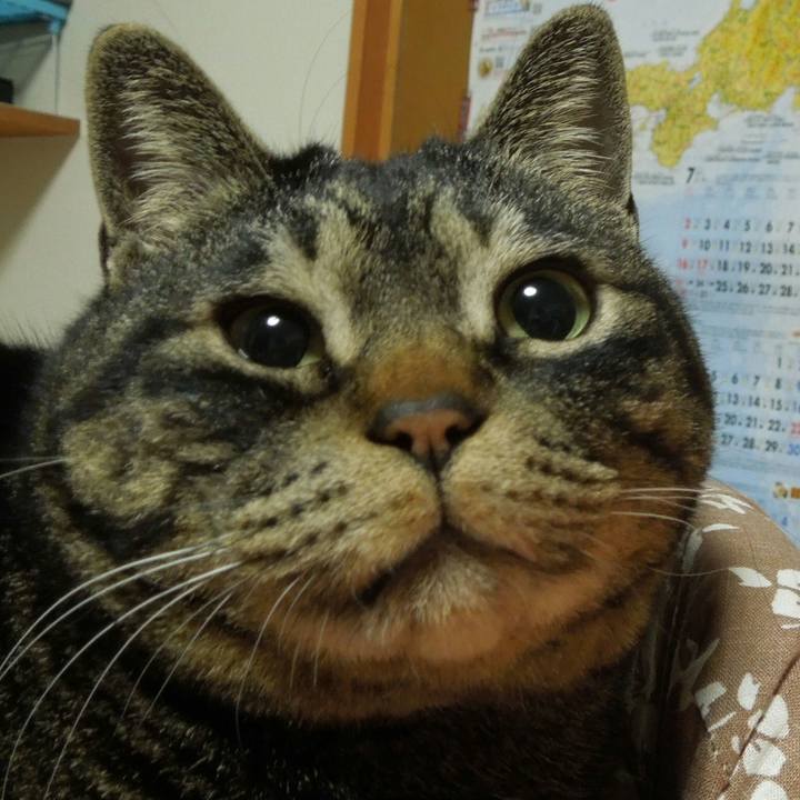 14a02a7f de44 451d 9cf8 55c6d33af2bd