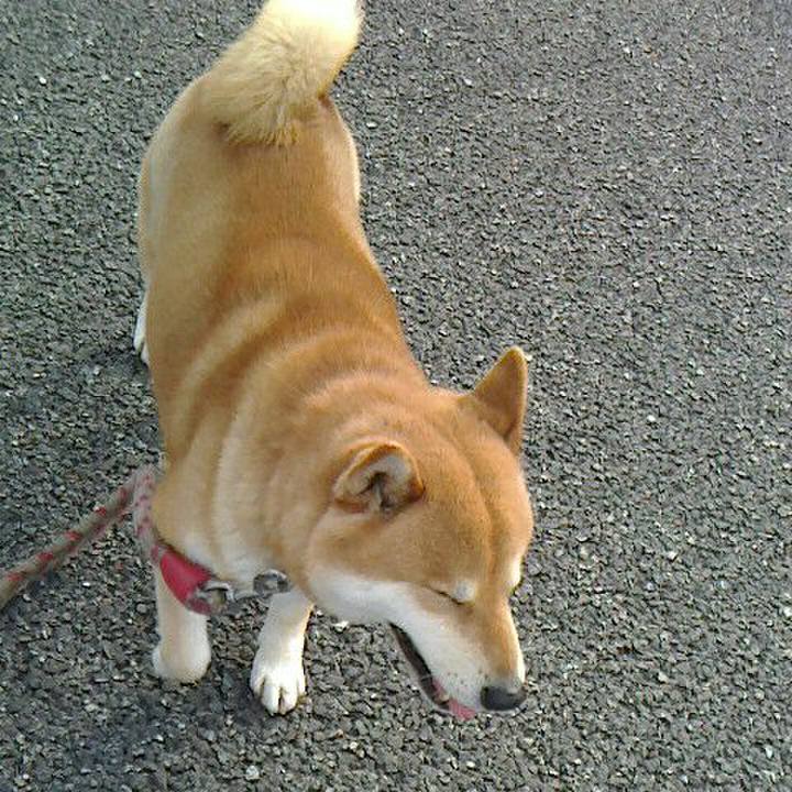 14a04814 a0ee 4663 a1dd 359b25327627