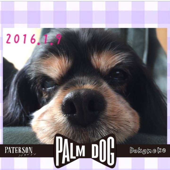 14a062d0 e32c 44e2 bc12 8bc0503a52fc