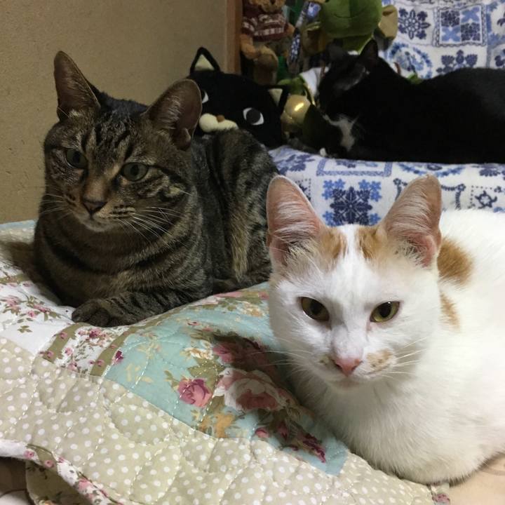 14a0f127 3b72 416c bde0 5c0e10b34622