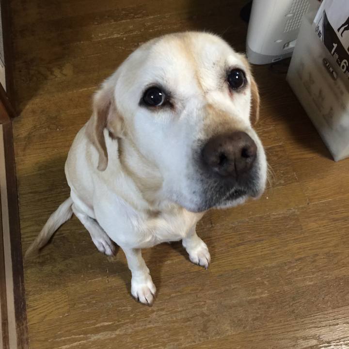 14a175d6 9e78 4501 8587 526d74ff9e67