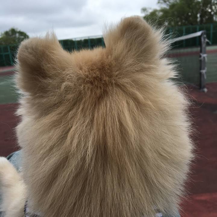 14a189e3 4fdb 45eb b5e4 94758dc1c05e