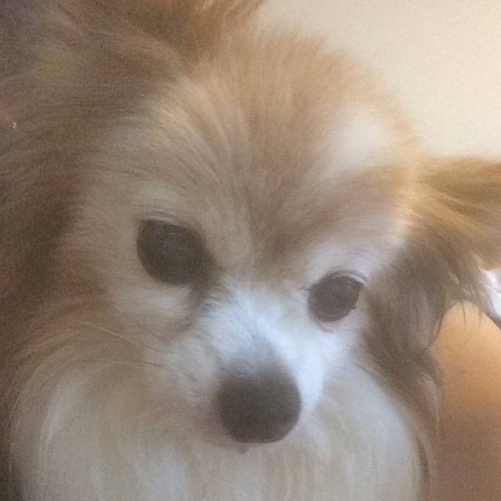 14a1d610 64e6 4f93 ab34 c4066f14589e