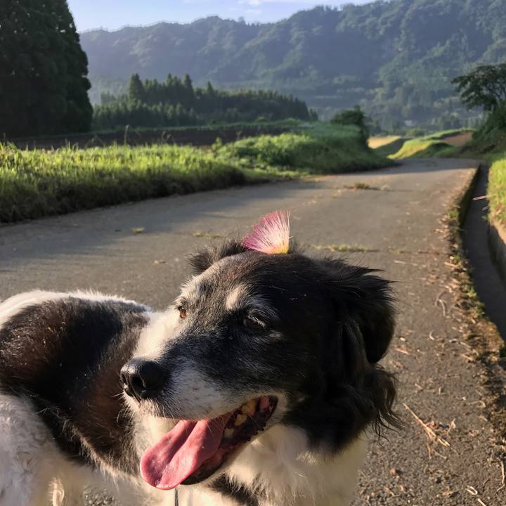 14a1e5b6 7b35 4cc5 a9d0 ce86d87d8f31