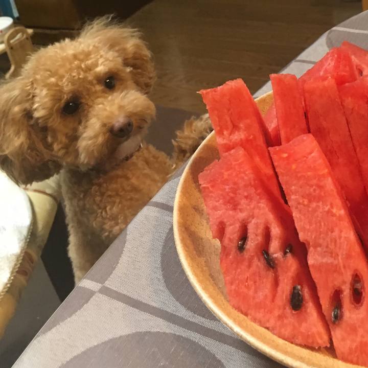 14a1f286 ab45 4c88 a2f0 ec447edb2757