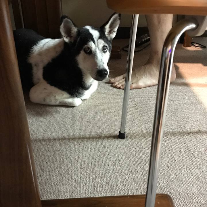 14a21314 0066 4920 bb5a 2be8ca14ec0a