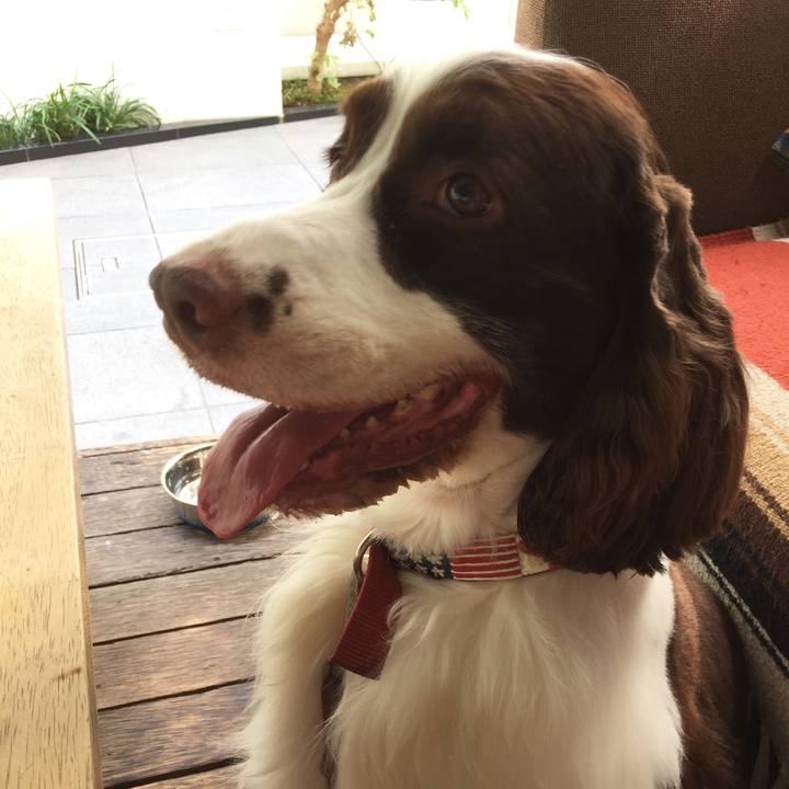 14a22f9e e198 488a aafb f30da05d3c0c