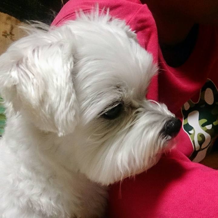 14a237b5 0666 49c4 9d1a 10ced75a8882