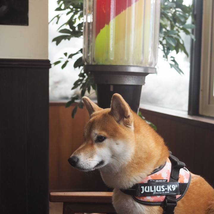 14a2c331 b146 47b0 b203 ed5acc4f53b2