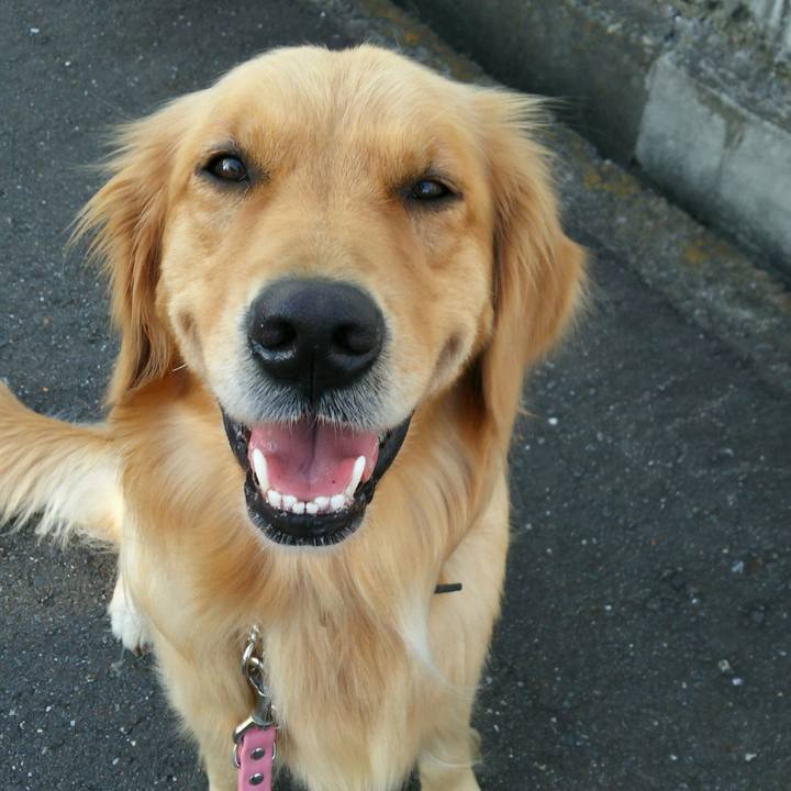 14a2c845 cdd4 4f57 9059 e8369695e17c