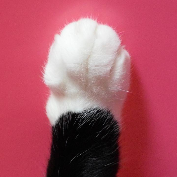 14a38133 3176 48f1 b79a 64eb272ce9d6