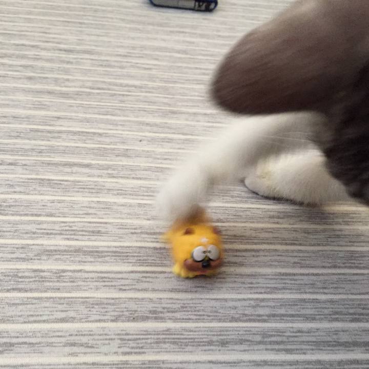 14a3ba79 7141 497f bedd 9f44774fb6f5