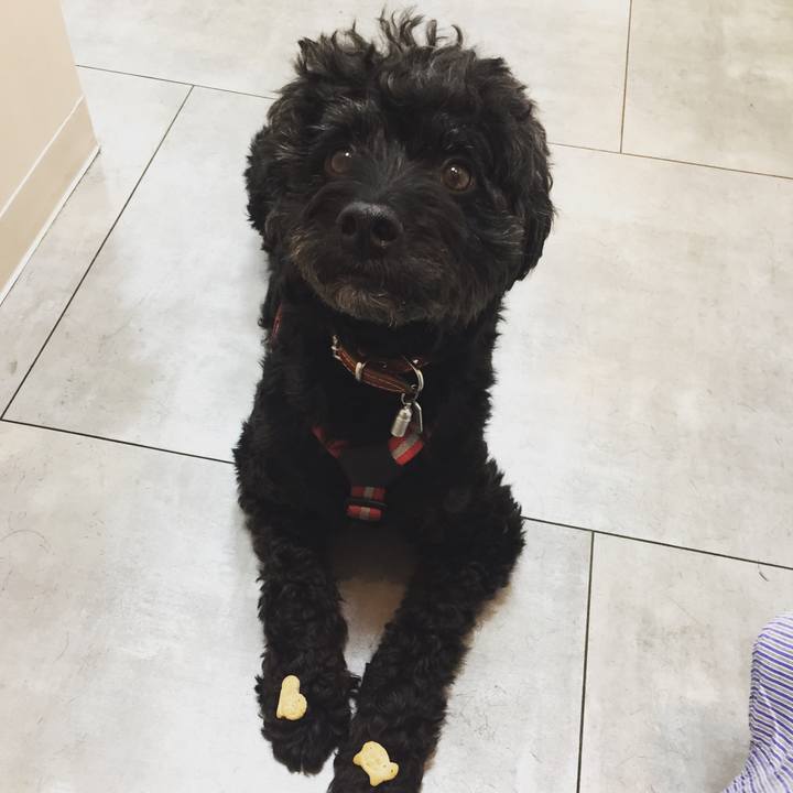 14a3edfa 5415 480f 9555 8b08dc2e8edb