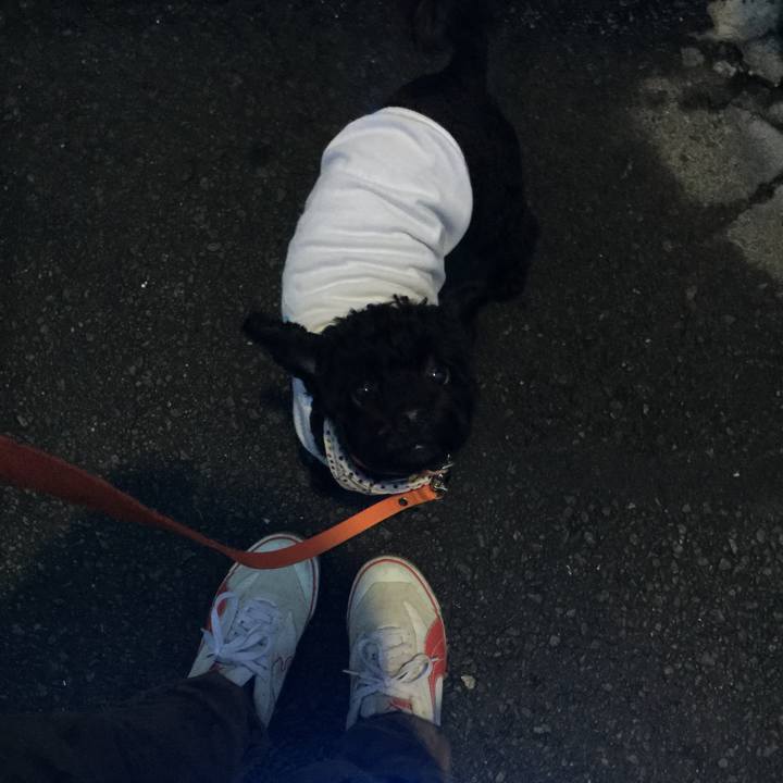 14a44036 1589 4a1a bf92 28faec610a68