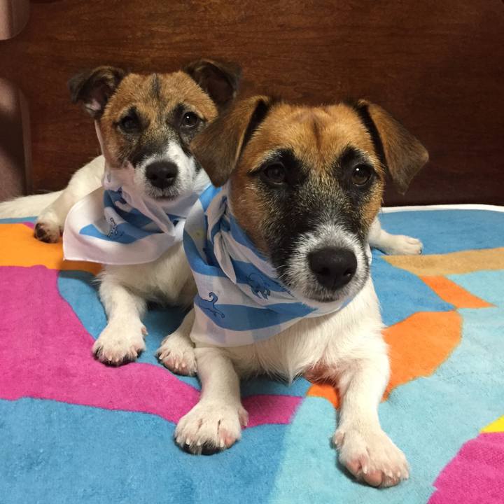 14a4e187 cfe8 4c84 9a88 2232d14e0594