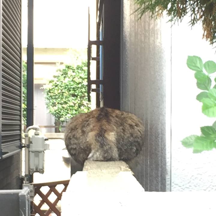 14a4f99c 14f5 4c2c bd22 a04f3d48cb82