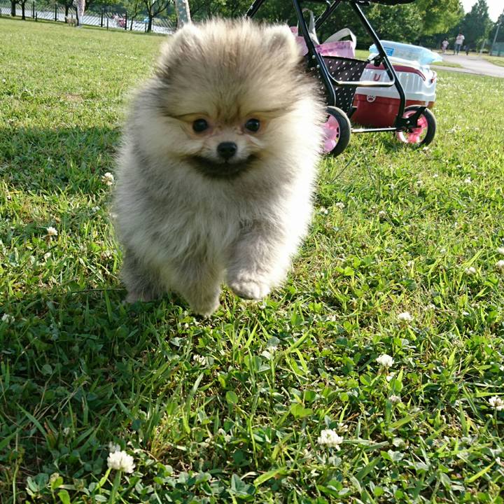 14a4feb6 3043 4254 b87a 2158f4ea7593