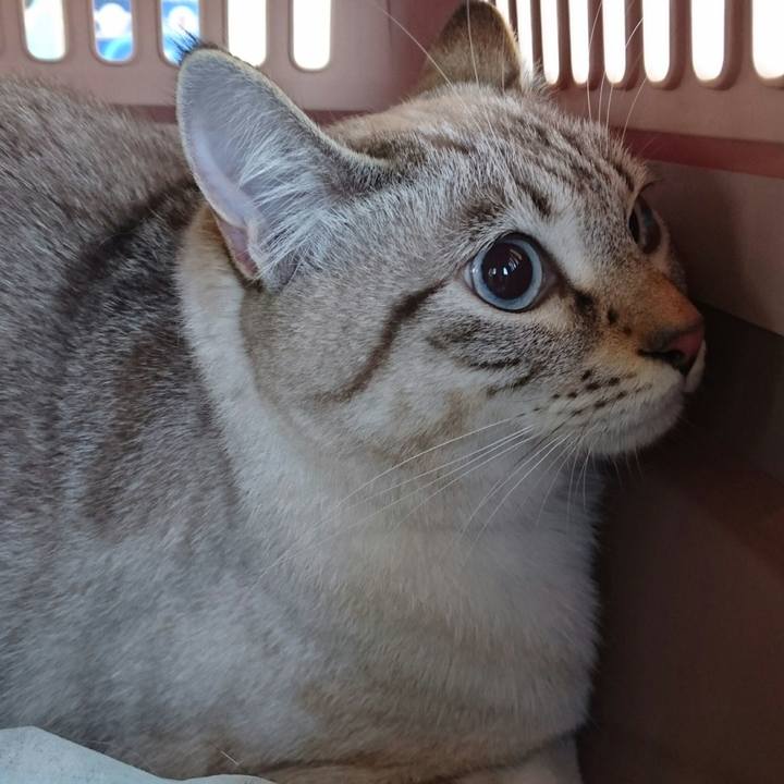 14a55084 10d9 4449 9872 b71bb407bf32