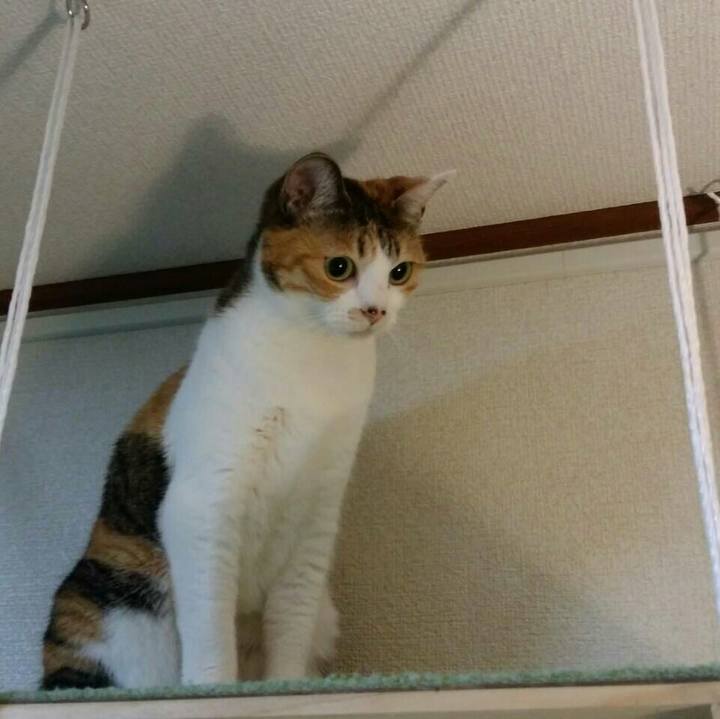 14a67b52 be0f 435e 8f94 82d7bc22a503