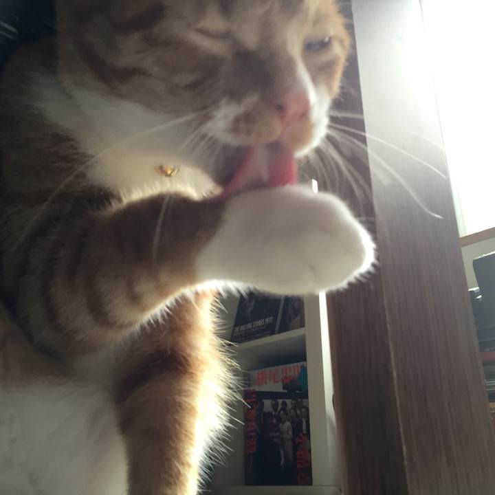 14a77f22 172c 444c a7a6 f42cad7e79e1