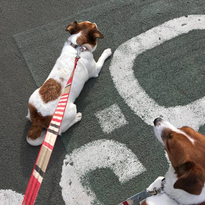 14a7c2e4 8ec5 4f9f 9c5f 2d349dc9e5ee