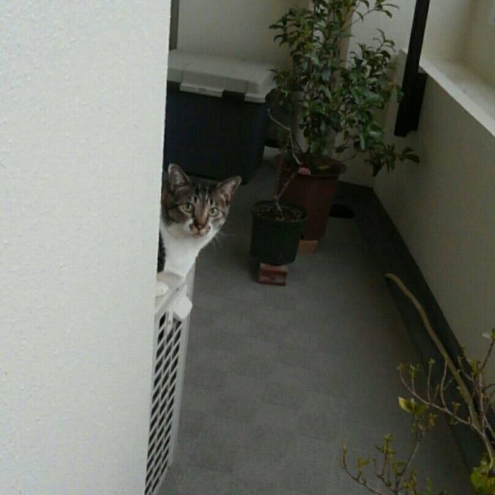 14a7dbf8 b3c8 460f bc94 26477c016c96