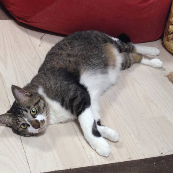 14a85c9d 1368 41ee 98cf 2d994d19474c