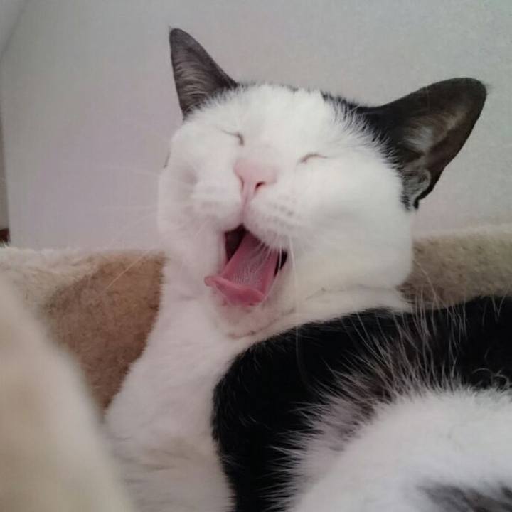 14a87080 1b2c 439a b883 c424eea97fb9