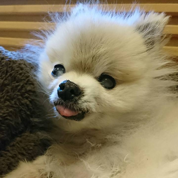 14a8c5bb c602 4718 b326 82386cc1a86d