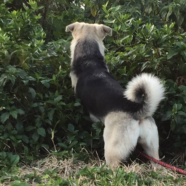 14a8d164 b564 429f b9b2 7a4d78078876