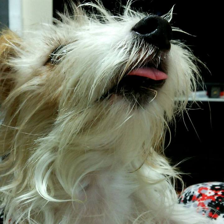 14a8db8a 8734 4d42 b863 3cea1a24243a