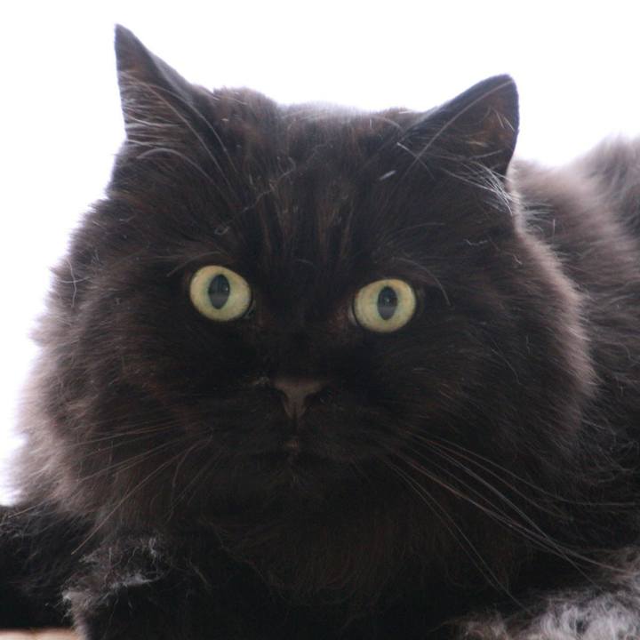 14a97980 1b8e 46bc b4d5 5e2ea1da24ec