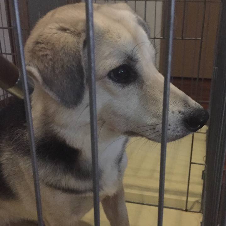 14a98997 c7eb 483e 9d43 1c2b7a747993