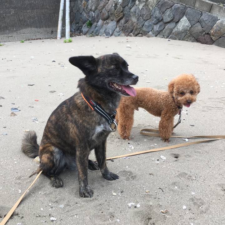 14aa0ad7 2f34 4784 a32a 151db27fef56