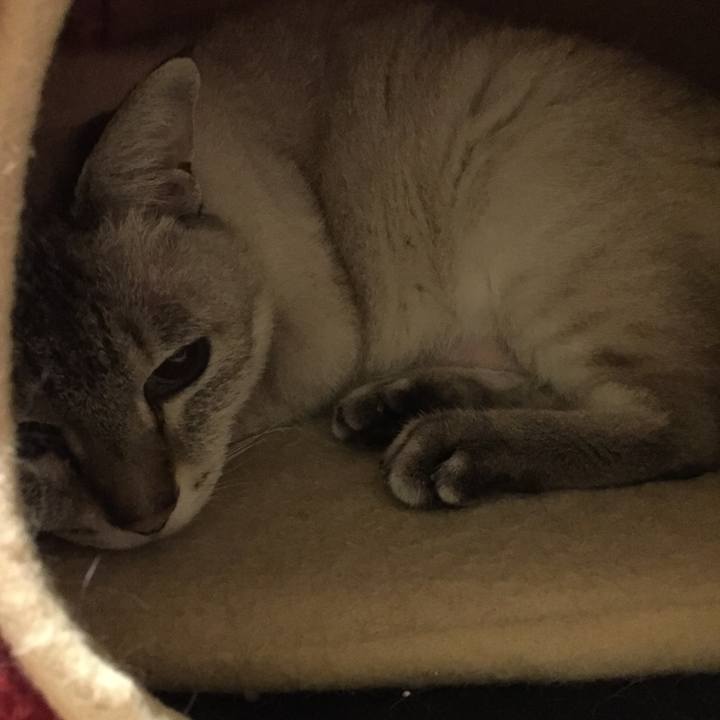 14aa13bf 9fa9 434b 8ce2 1ac306586e39