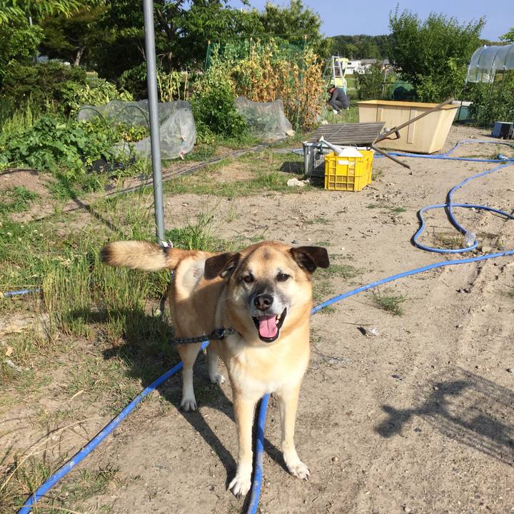 14aa861f ca10 41d0 9850 896a45765c22