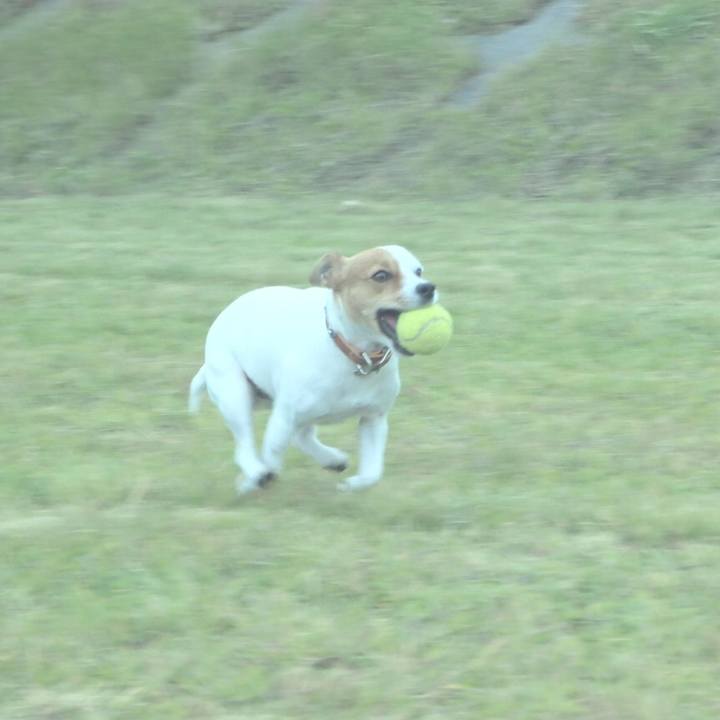 14aaca2e f651 40dc b2d3 ddd302ccc75a