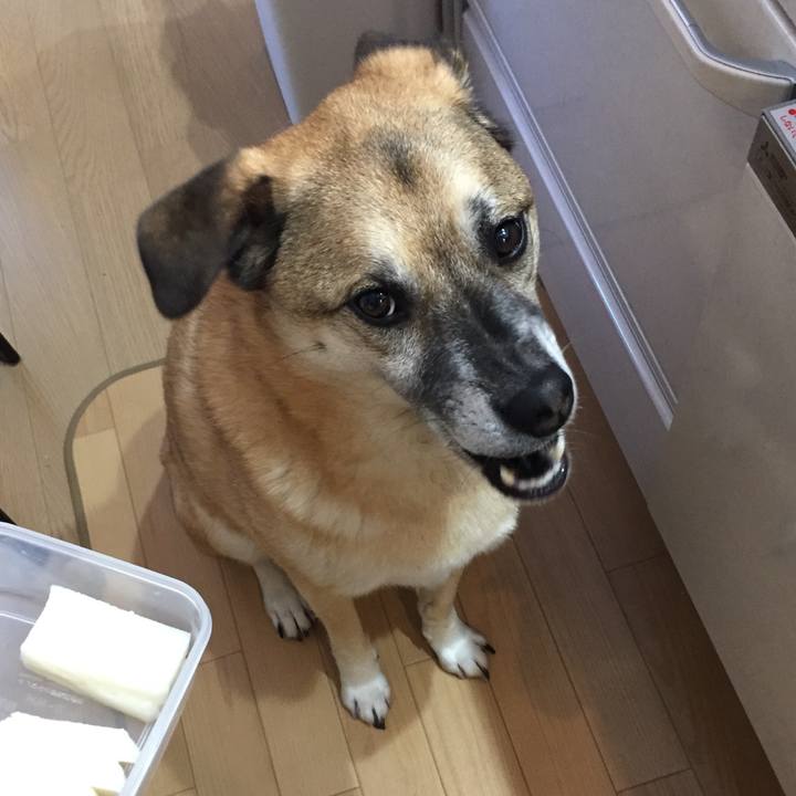 14aafcf0 0cb7 4163 a869 fc1206c1dfa3