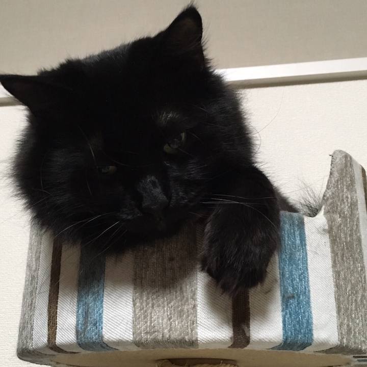 14ab802d 0cb1 464b b94b 79b12309a38f